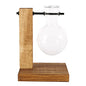 Wooden Stand Hydroponic Plant Vase