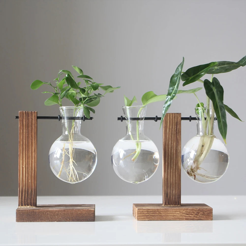 Wooden Stand Hydroponic Plant Vase